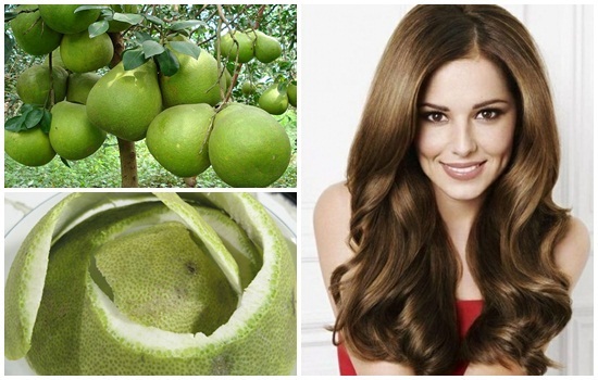 Trị hói đầu, kích thích mọc tóc bằng vỏ bưởi ngay tại nhà Trị hói đầu, kích thích mọc tóc bằng vỏ bưởi ngay tại nhà